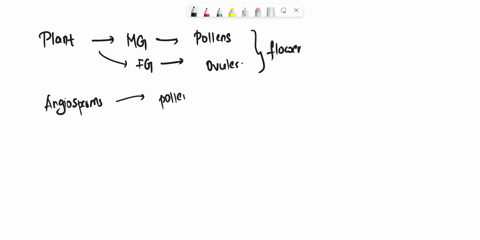 true-or-false-the-zygote-divides-and-grows-to-form-the-endosperm-of-the-seed-03006