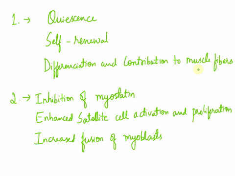 skeletal-muscle-mass-is-determined-by-the-balance-between-skeletal-muscle-protein-synthesis-and-degradation-while-skeletal-muscle-development-and-repair-is-determined-by-the-activation-of-mu-02116
