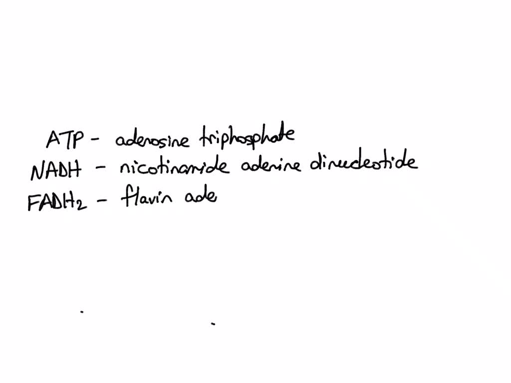 SOLVED 1. The molecules ATP,NADH and FADH2 all contain which