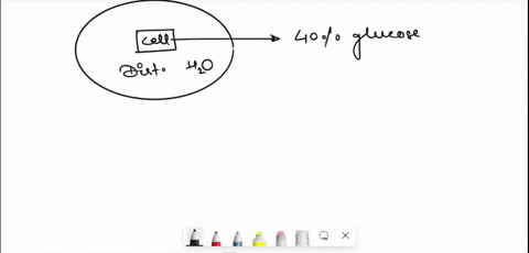 eroblengwithdillusion-and-osmsis-cell-is-fillcd-with-solutes-and-water-imagine-ccll-filled-with-46-glucose-and-suhrncrged-in-distilled-water-the-ccll-membrue-percable-glucose-draw-diagram-of-38807