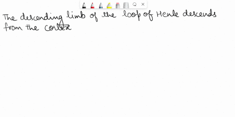yuestion-u-poitls-truc-or-false-the-descending-loop-of-henle-is-located-in-the-cortex-of-the-nephron-truc-false-question-6-10-points-which-of-these-is-part-of-the-juxtaglomerular-apparatus-a-78583