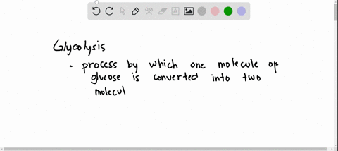 during-glycolysis-when-glucose-is-transformed-to-pyruvate-most-of-the-energy-of-glucose-is_-stored-in-the-nadh-produced-transferred-to-adp-forming-atp-stored-in-the-pyruvate-transferred-dire-82685