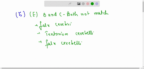 5-which-of-the-following-dural-infoldingsreflections-is-not-matched-up-correctly-with-its-location-a-falx-cerebri-longitudinally-between-the-two-cerebral-hemispheres-b-tentorium-cerebelli-fo-45742
