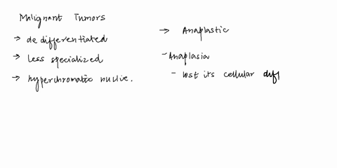 question-3-1pt-a-characteristic-of-malignant-tumorswith-dedifferentiated-cellsless-specialized-state-lack-of-orderly-arrangement-with-large-hyperchromatic-nucieiis-called-dysplastic-oanaplas-51222