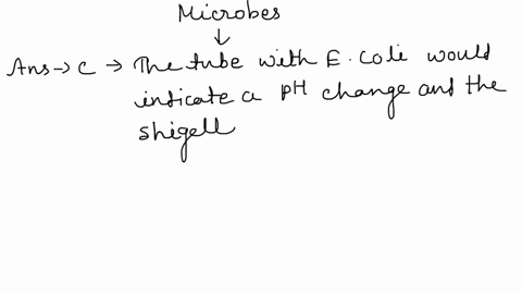 microbes-are-often-identified-using-biochemical-tests-that-detect-specific-enzymes-of-metabolic-pathways-e-coli-typically-ferments-lactose-an-alternative-type-of-sugar-and-produces-an-acid-b-89394