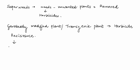 11-superweeds-result-from-cross-pollination-of-11-superweeds-result-from-cross-pollination-of-multiple-choice-two-transgenic-cultivated-plants-in-the-field-two-noncultivated-plants-in-the-fi-19367