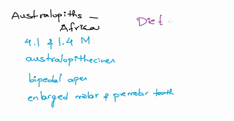 what-factors-explain-the-evolution-of-the-robust-faces-and-jaws-of-australopithecus-especially-in-the-early-pleistocene-focus-on-the-combination-of-selective-pressures-and-nonevolutionary-fa-76752