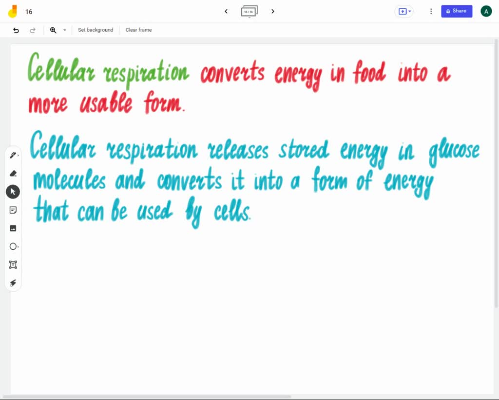 SOLVED Cellular respiration is a process common to cells. Which