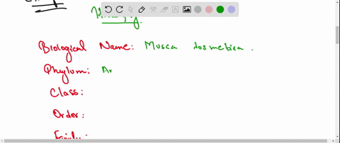 define-a-taxon-give-some-examples-of-taxa-at-different-hierarchical-levels-85322