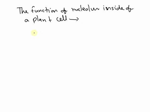 what-is-the-function-of-the-nucleolus-inside-of-a-plant-cell-22896