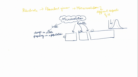 microevolution-is-the-change-in-allele-frequencies-in-a-population-may-result-from-06-autetion-non-randov-matng-gertic-rit-mc-random-due-to-41-fluctuations-movement-due-leads-more-likely-in-00684