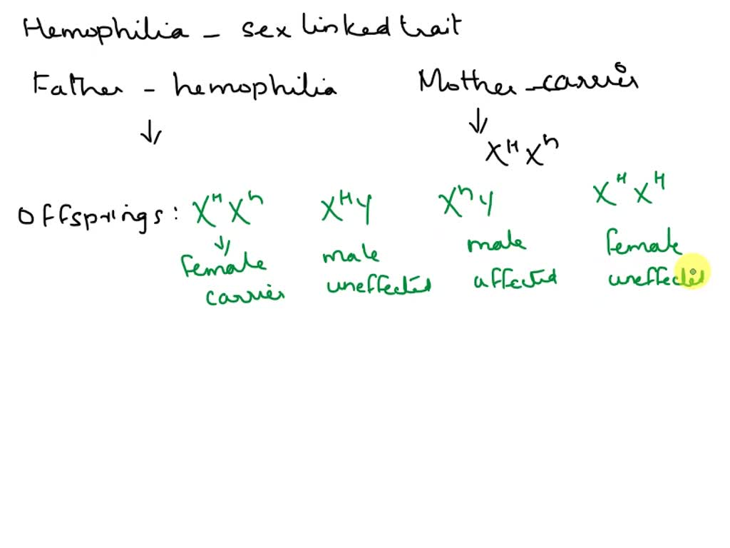 SOLVED: Hemophilia is a sex-linked trait. If you have a man with hemophilia  (genotype XhY) and a female carrier (genotype XHXh), how many of the  offspring would be affected?