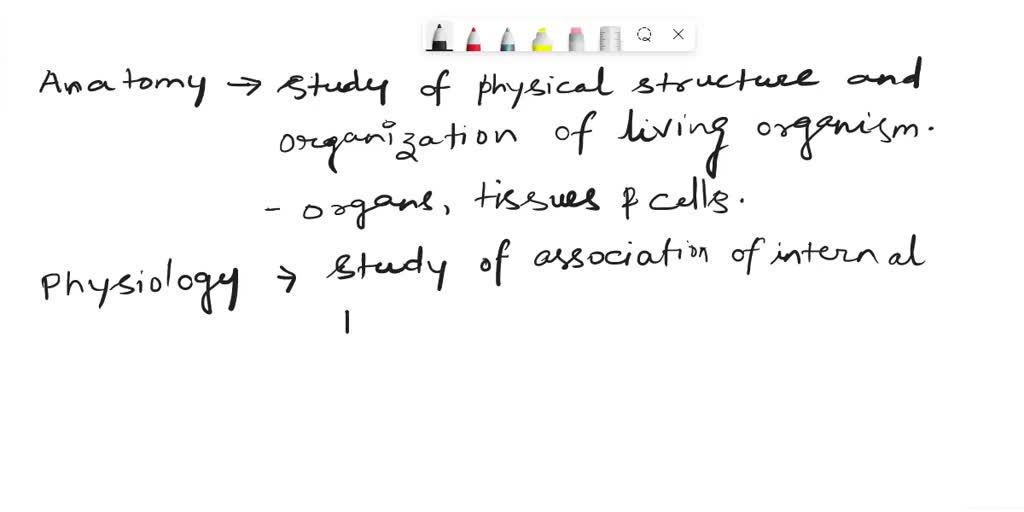EXPLAIN THE LINK BETWEEN ANATOMY AND PHYSIOLOGY visual data 2