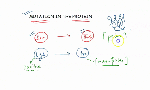 which-interspecies-gene-transfer-process-does-not-require-cell-to-cell-contact-transduction-conjugation-transformation-sporulation-transposition-10664