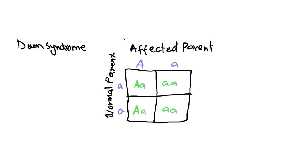 SOLVED: probability of being passed on down syndrome in punnett square