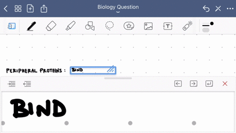 what-are-some-key-differences-between-integral-proteins-and-peripheral-proteins-consider-their-chemical-composition-how-they-interact-with-the-membrane-and-their-potential-function-53084