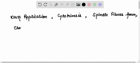 several-cell-processes-are-given-below-the-processes-are-out-of-order-1-cytokinesis-2-chromosomes-align-3-dna-replication-4-spindle-fibers-form-which-of-these-places-the-processes-in-order-b-68157