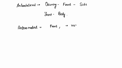 the-following-terms-did-not-appear-the-text-but-are-composed-of-word-definitions-by-translating-the-word-parts-literally-parts-studied-in-this-chapter_-find-their-anterolateral-anteromedial-61168