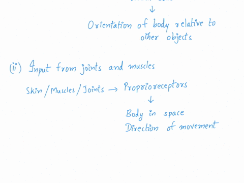 which-of-the-following-is-important-in-maintaining-the-balance-of-the-body-a-visual-cues-b-semicircu-18475