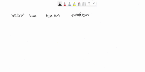 nicotinamide-adenine-dinucleotide-nad-and-its-what-is-the-chemical-difference-between-phosphate-nadp-nadp-has-an-additional-phosphate-group-the-2-position-on-the-pentose-adjacent-to-adenine-02503