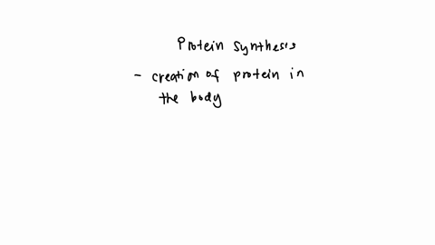which-organelle-is-responsible-for-the-synthesis-of-proteins