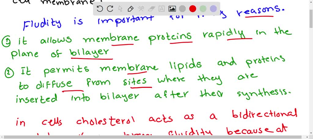 SOLVED: Why is the fluidity of the membrane important for the ...