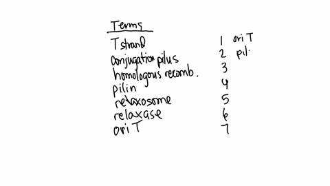 part-a-identlfy-the-importance-of-the-following-features-in-conjugating-donor-bacteria-drag-the-terms-on-the-left-to-the-appropriate-blanks-on-the-right-to-complete-the-sentences-reset-help-04324