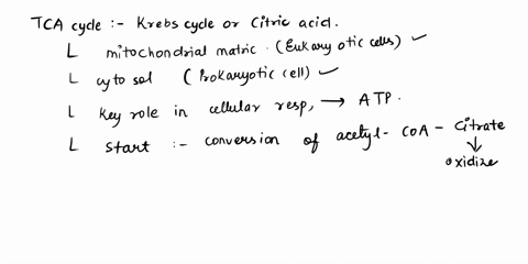 question-10-25-points-which-two-enzymes-catalyze-oxidative-decarboxylation-reactions-in-the-tca-cycle-malate-dehydrogenase-and-succinate-dehydrogenase-alpha-ketoglutarate-dehydrogenase-and-i-48594