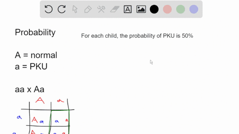 1-phenylketonuria-pku-is-an-autosomal-recessive-disorder-caused-by-a-mutation-in-the-pah-gene-on-chromosome-12a-woman-with-pku-is-married-to-a-man-who-is-a-carrier-for-the-condition-if-they-76566