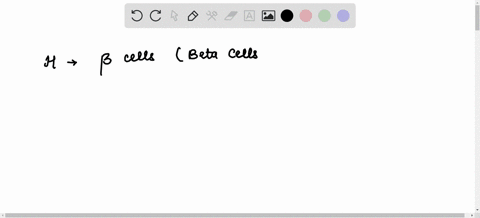 bonus-the-picture-of-the-pancreas-below-shows-the-two-main-types-of-endocrine-cells-what-hormone-do-the-cells-at-produce-what-hormone-do-the-cells-at-produce-hint-thls-is-a-difficult-questio-24475