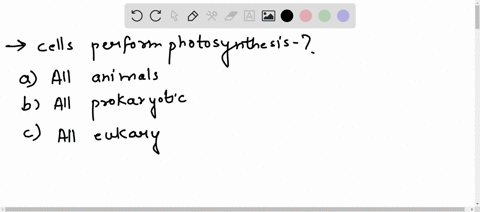 what-types-of-cells-perform-photosynthesis-a-all-animals-b-all-prokaryotic-c-all-eukaryotic-d-all-plants-11022