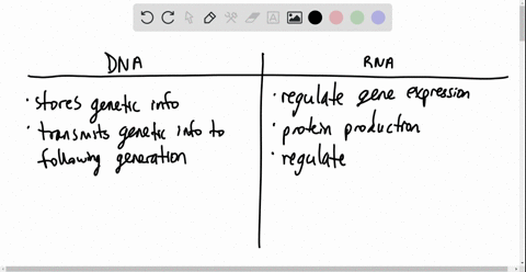 compare-and-contrast-dna-and-rna-what-is-similar-and-different-between-them-questions-listed-below-what-is-the-function-of-dna-and-rnawhat-is-the-structure-of-dna-and-rna-both-dna-and-rna-ar-84275