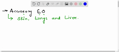 what-are-the-accessory-excretory-organs-in-human-body-how-do-the-liver-carries-out-excretion-as-a-secondary-function-32432