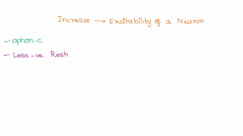 which-of-the-following-is-most-likely-to-increase-the-excitability-of-a-neuron-more-negative-resting-membrane-potential-decreased-extracellular-sodium-concentration-less-negative-resting-mem-25023