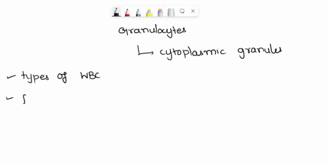 all-of-the-following-are-types-of-granulocytes-because-they-have-prominent-cytoplasmic-granules-when-stained-except-multiple-choice-neutrophils-they-are-all-granulocytes-monocytes-eosinophil-04937