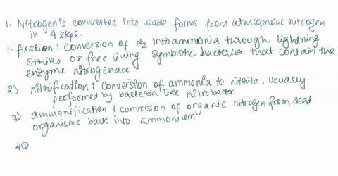 define-nitrogen-fixation-what-organisms-are-capable-of-nitrogen-fixation-89158