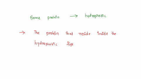some-proteins-reside-in-the-hydrophobic-lipid-bilayer-of-the-cell-membrane-would-hydrophilic-groups-of-these-proteins-still-be-facing-the-lipid-solvent-07026