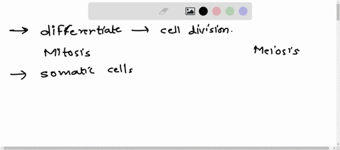 what-is-the-cell-division-differentiate-between-two-types-of-cell-division-39182