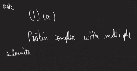 1a-which-of-the-following-is-an-example-of-quaternary-protein-structure-a-a-protein-complex-with-multiple-subunits-b-an-alpha-helix-c-a-3d-protein-structure-d-an-oligopeptide-containing-a-si-75612