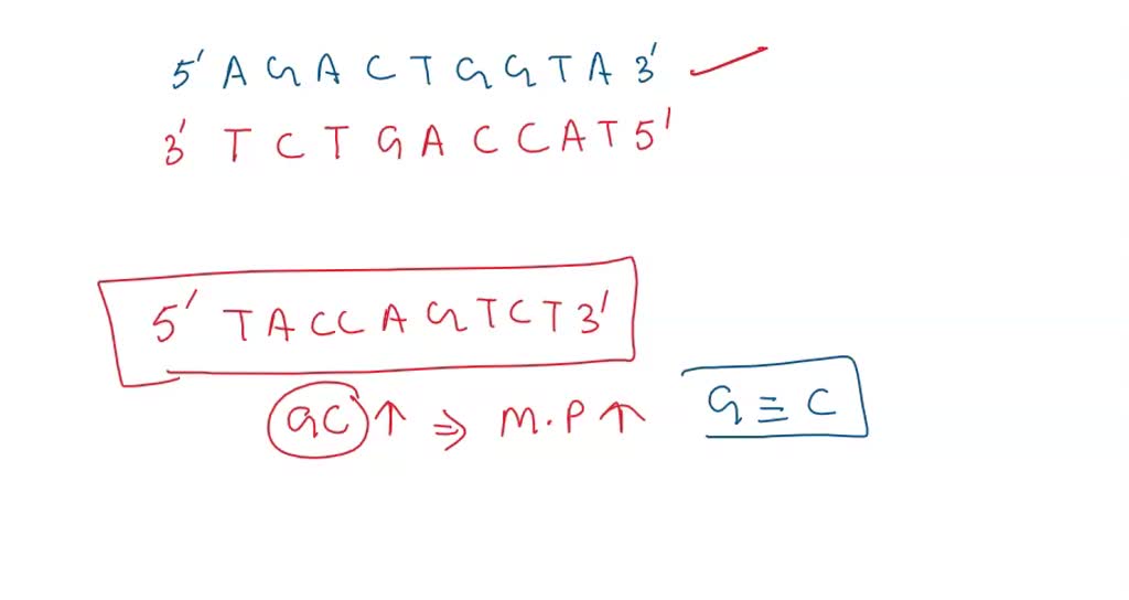 Solved: The Sequence Of Deoxyribonucleotide Bases That Would Be 