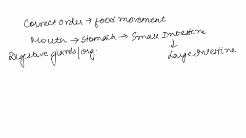 which-of-the-following-lists-the-tubing-in-the-correct-order-of-food-movement-a-ileocecal-valve-ileum-jejunum-duodenum-pyloric-valve-b-poloric-valve-jejunum-duodemun-ileum-ileocecal-valve-c-55768