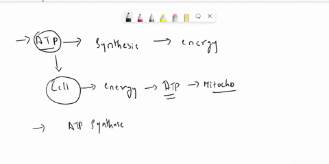 question-27-the-immediate-energy-source-that-drives-atp-synthesis-by-atp-synthase-during-oxidative-phosphorylation-is-0-the-h-concentration-gradient-across-the-inner-mitochondrial-membrane-t-94987