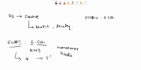 the-table-shows-where-different-restriction-endonucleases-restriction-enzymes-cleave-dna-the-abbreviation-r-represents-the-purines-adenine-and-guanine-the-pyrimidines-cytosine-thymine-and-ur-21418