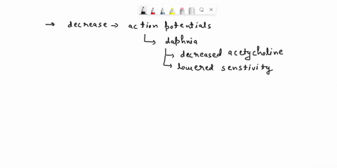 why-ethanol-decreases-the-heart-rate-how-would-the-addition-of-ethanol-affect-the-homeostasis-in-daphnia-and-human-40334