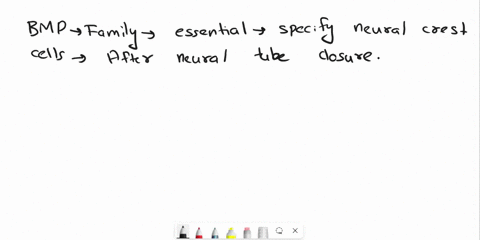 question-13-1pts-what-morphogen-is-necessary-to-specify-neural-crest-cells-after-dorsal-neural-tube-closure-oshh-ownt-ora-obmp-tgf-beta-question-14-1pts-hirschsprung-disease-aka-congenitalag-19257