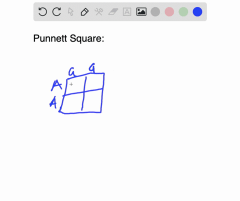 determine-the-expected-genotypes-and-phenotypes-for-the-punnett-square-61892