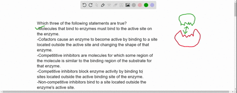 which-three-of-the-following-statements-are-true-molecules-that-bind-to-enzymes-must-bind-to-the-active-site-on-the-enzyme-cofactors-cause-an-enzyme-to-become-active-by-binding-to-a-site-loc-77124