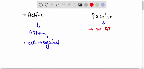 distinguish-between-active-and-passive-transport-make-sure-to-provide-examples-of-each-why-are-the-functions-of-active-and-passive-transport-instrumental-to-the-cell-73539