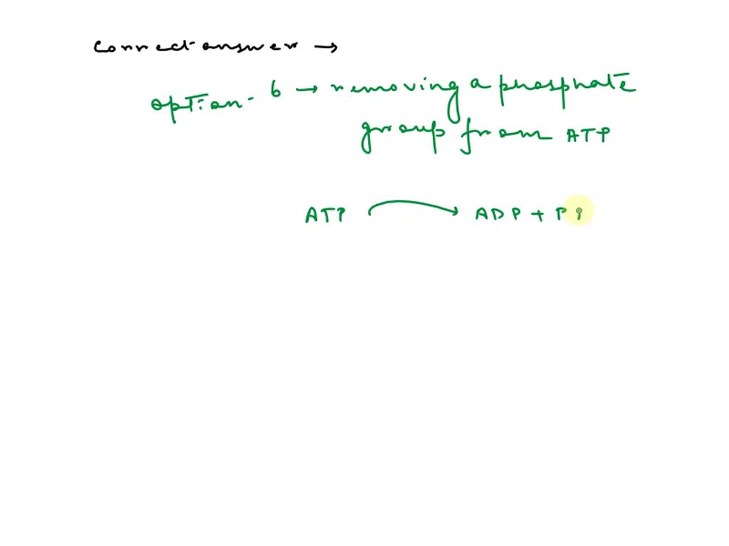 What Do Anabolic Reactions Do