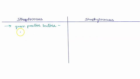 differentiate-between-staphylococcus-and-streptococcus-bacteria-after-performing-gram-stain-the-results-was-gramf-positive-cocci_-to-differentiate-betwcen-staphylococcus-and-streptococcus_ba-04832